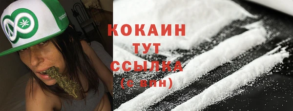 спиды Арсеньев