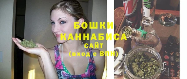 спиды Арсеньев