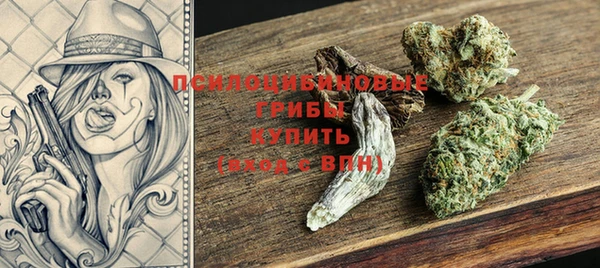 спиды Арсеньев