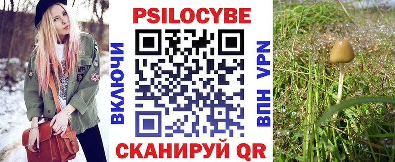 blacksprut ССЫЛКА Озёрск Псилоцибиновые грибы прущие грибы